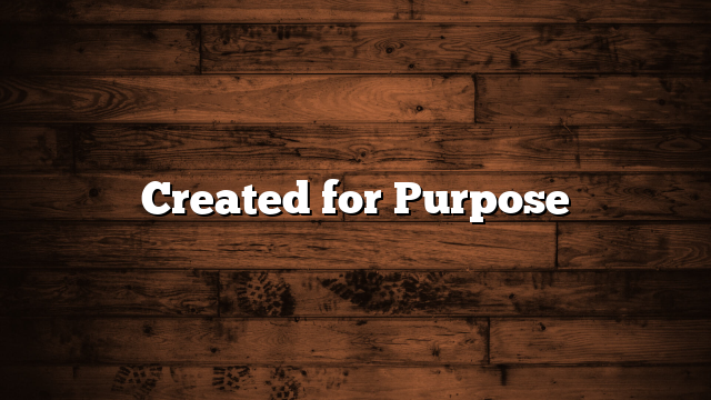 Created for Purpose